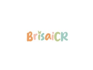 Logo de Brisai